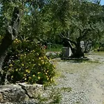 Ondina 2*