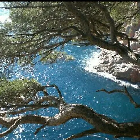 Ondina 2*