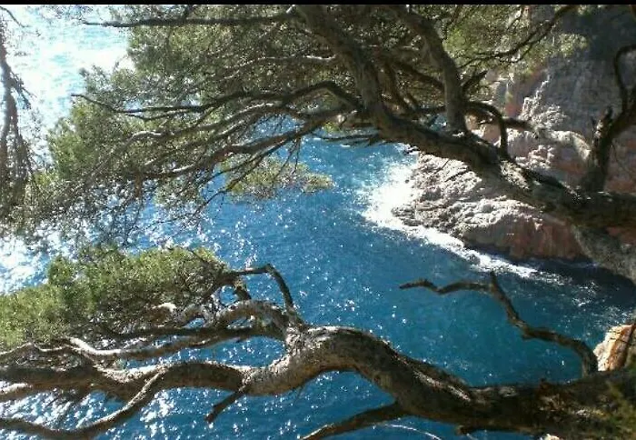 Ondina 2*