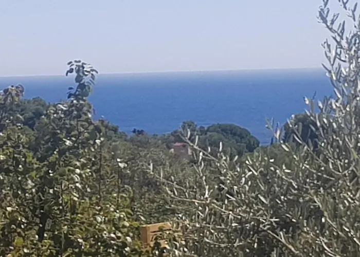 Отель Ondina Бегур