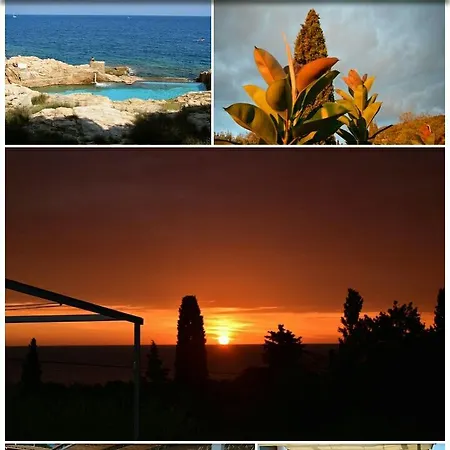 Ondina בגור